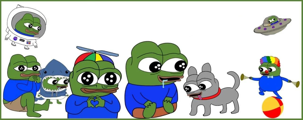 5881935863829612216.jpg